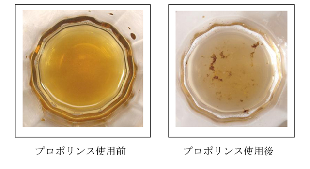 「プロポリンス」の画像検索結果